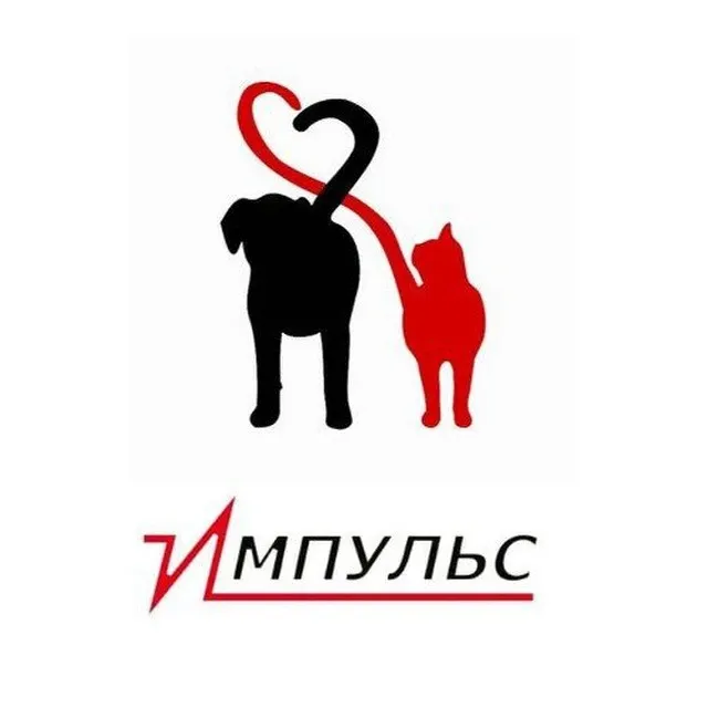 Импульс