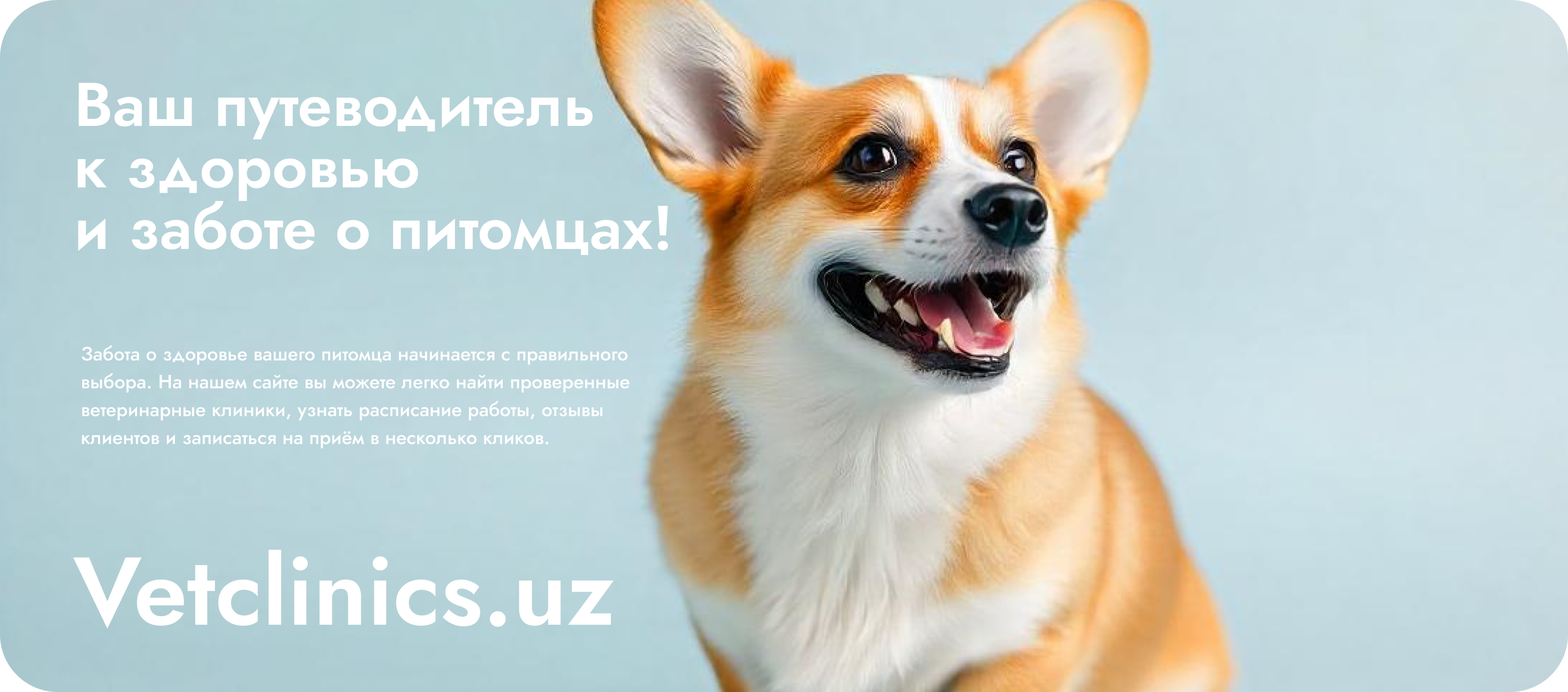 Main banner
